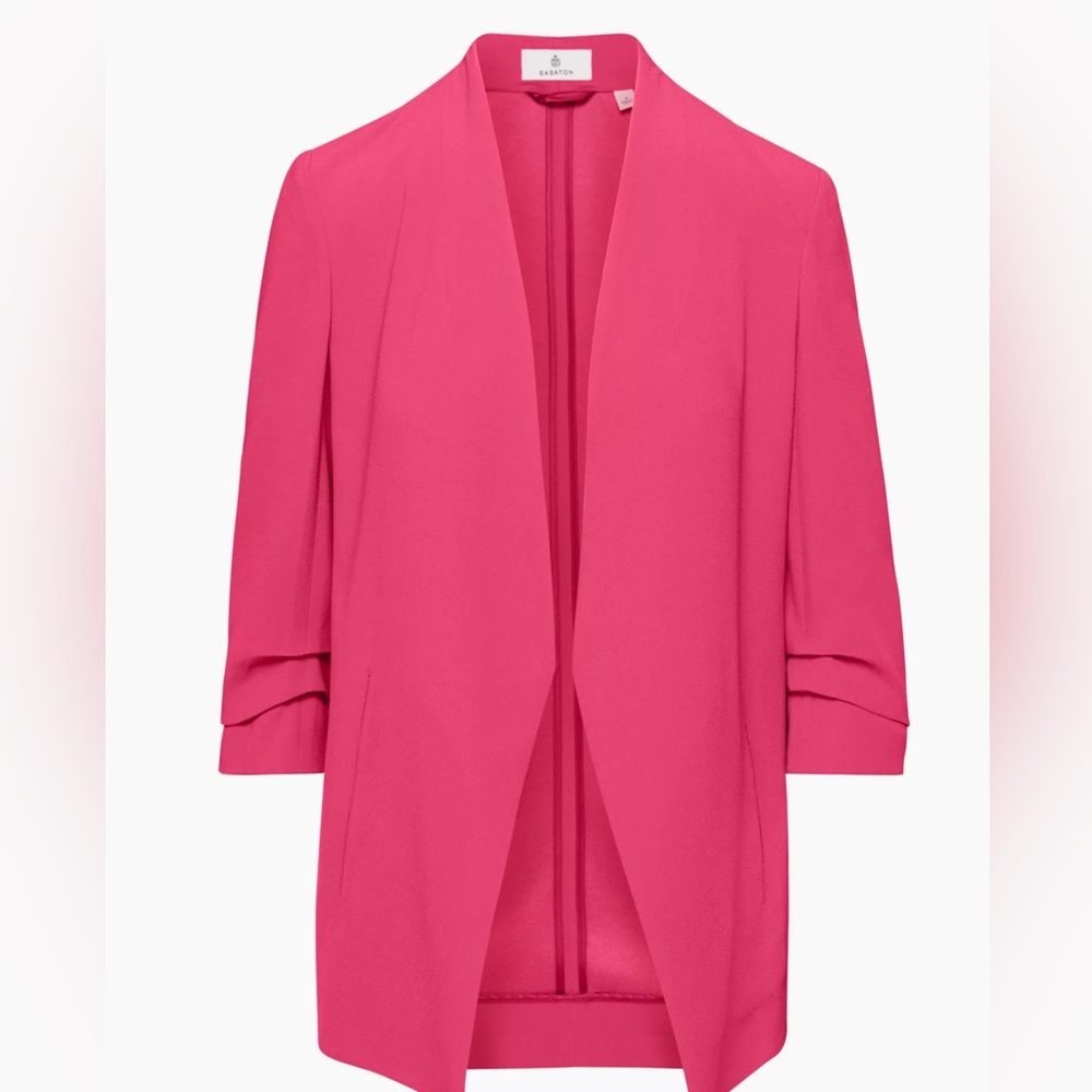 Babaton Aritzia power Hip Blazer